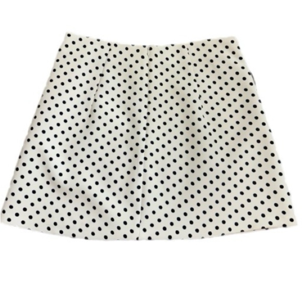 Zara Polka Dot Skirt - Picture 2 of 5